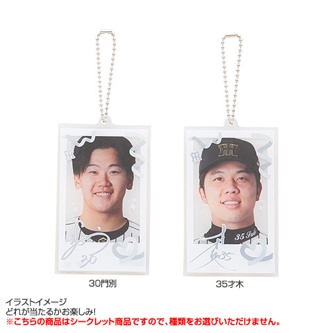 全12種）シークレットレイヤーアクリルキーホルダー - 阪神