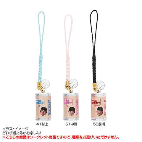 買得 全12種）シークレットミニおみくじキーホルダー - 阪神 アイドル