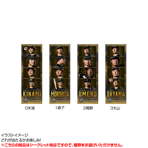 全12種）B-LUCK シークレットフォトグレイ - 阪神タイガース公式