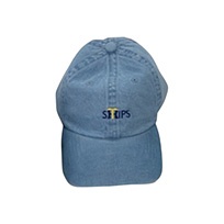 TIGERS×SHIPS CAP
