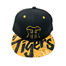 ウル虎の夏2025 レプリカキャップ フラット