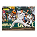 ブロマイド 7/2 T-G No.1　49大竹