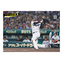 ブロマイド 7/3 T-G No.1　3大山
