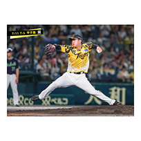 ブロマイド 7/11 T-S No.1　30門別