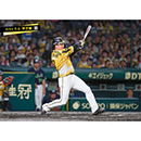 ブロマイド 7/11 T-S No.2　3大山
