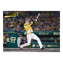 ブロマイド 7/11 T-S No.2　3大山