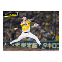 ブロマイド 7/11 T-S No.3　54木下
