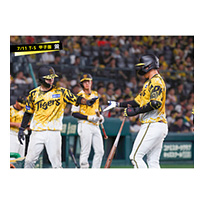ブロマイド 7/11 T-S No.4　3大山、51中野