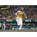 ブロマイド 7/12 T-S No.2　38小幡
