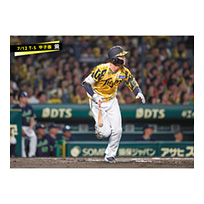 ブロマイド 7/12 T-S No.2　38小幡