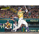 ブロマイド 7/12 T-S No.3　12坂本