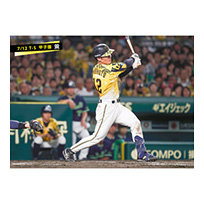 ブロマイド 7/12 T-S No.3　12坂本