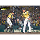 ブロマイド 7/12 T-S No.4　12坂本、13岩崎
