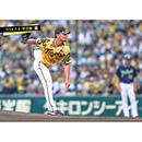 ブロマイド 7/13 T-S No.1　27伊藤（将司）