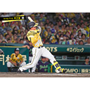 ブロマイド 7/13 T-S No.2　1森下