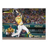 ブロマイド 7/13 T-S No.2　1森下