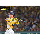 ブロマイド 7/13 T-S No.3　8佐藤（輝明）