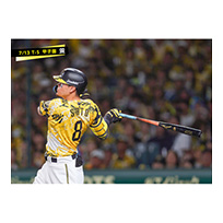 ブロマイド 7/13 T-S No.3　8佐藤（輝明）