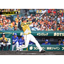 ブロマイド 7/15 T-D No.2　3大山