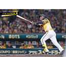 ブロマイド 7/15 T-D No.3　1森下