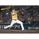 ブロマイド 7/15 T-D No.5　42ネルソン