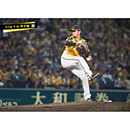 ブロマイド 7/16 T-D No.3　14岩貞