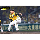 ブロマイド 7/16 T-D No.4　31早川