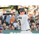 ブロマイド 7/26 T-DB No.2　3大山
