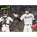 ブロマイド 7/26 T-DB No.4　12坂本、35才木