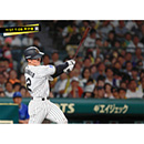 ブロマイド 7/27 T-DB No.2　12坂本