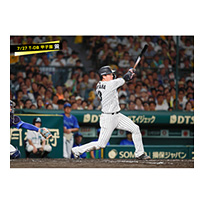 ブロマイド 7/27 T-DB No.4　3大山