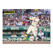 ブロマイド 7/31 T-C No.1　8佐藤（輝明）
