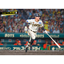 ブロマイド 7/31 T-C No.2　4熊谷