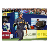 ブロマイド 8/9 T-S No.3　0木浪