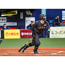 ブロマイド 8/10 T-S No.2　8佐藤（輝明）