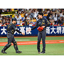 ブロマイド 8/10 T-S No.4　12坂本、35才木