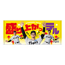 盛り上がっテルタオル　第二弾★受注生産品★