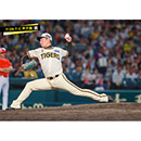 ブロマイド 7/29 T-C No.3　13岩崎