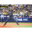 ブロマイド 8/19 T-D No.1　85ドリス