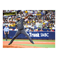 ブロマイド 8/19 T-D No.1　85ドリス
