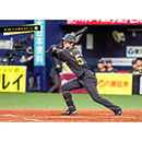 ブロマイド 8/20 T-D No.3　51中野