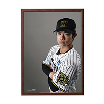 【T-SHOP限定】月刊タイガース表紙写真パネル 2025年4月号★受注生産品★