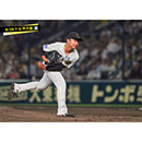 ブロマイド 8/29 T-G No.1　46島本