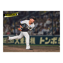 ブロマイド 8/29 T-G No.1　46島本