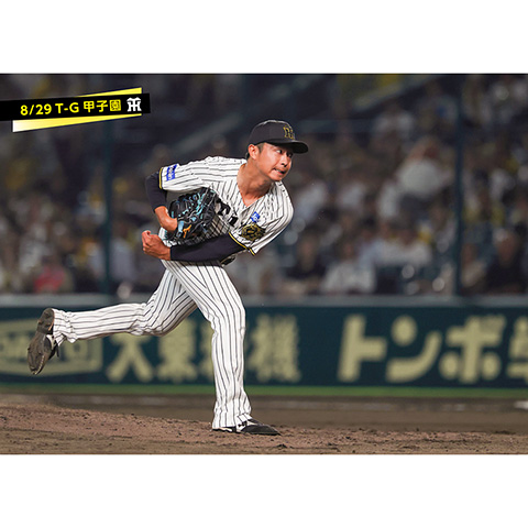 阪神タイガース　プロ支給品　上下 jambalaya_24dobp3-ht-pdc06