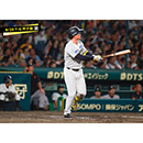 ブロマイド 8/29 T-G No.3　1森下