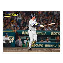ブロマイド 8/29 T-G No.3　1森下