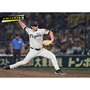 ブロマイド 8/29 T-G No.5　82ハートウィグ