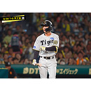 ブロマイド 8/30 T-G No.2　4熊谷