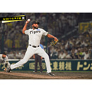 ブロマイド 8/30 T-G No.3　85ドリス